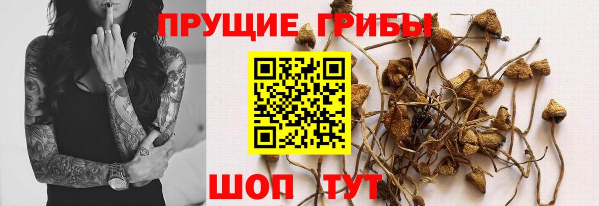 Галлюциногенные грибы MAGIC MUSHROOMS Чистополь